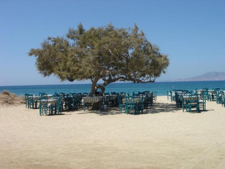 Villa Harmony Agia Anna  Extérieur photo